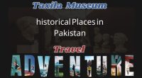 Taxila Museum